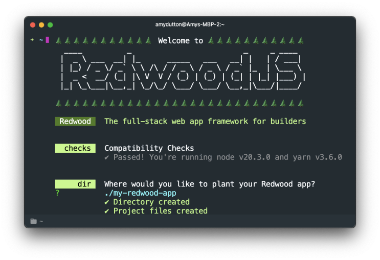 RedwoodJS Terminal